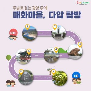 탐방2(다압)