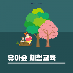유아숲체험교육